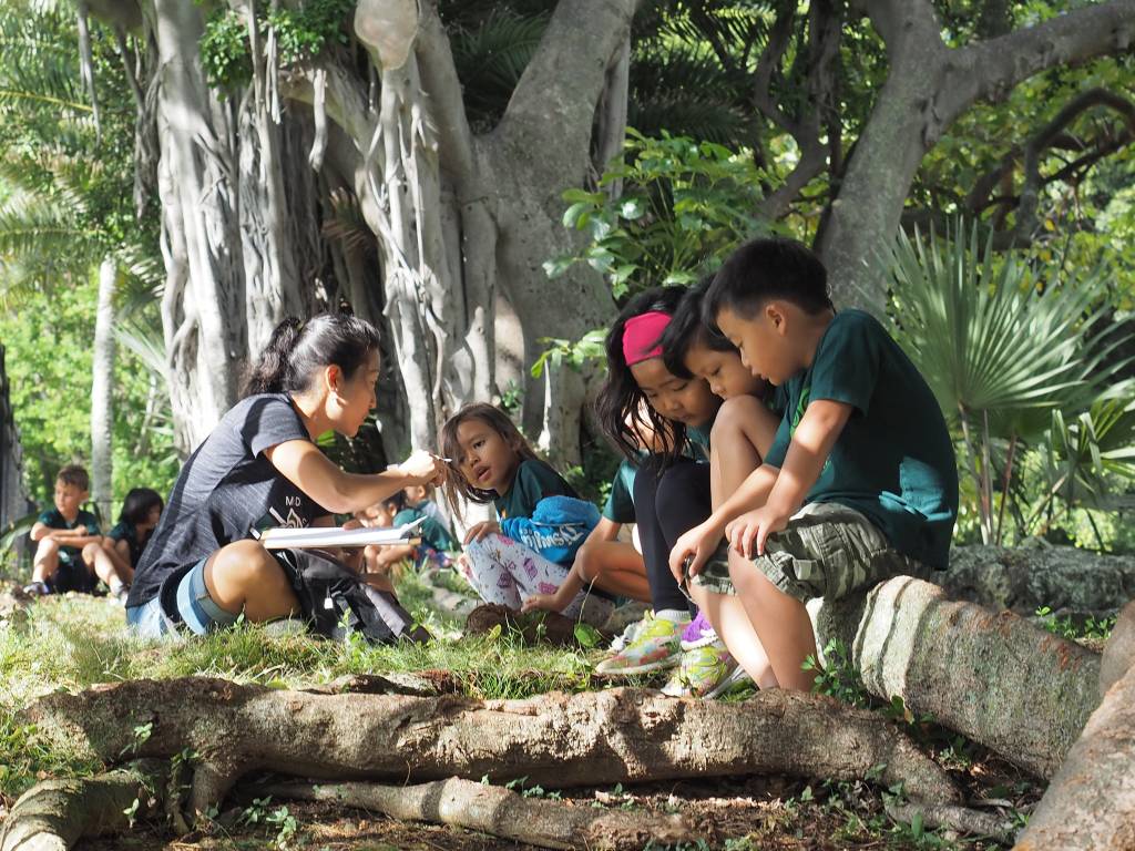 a group of children having a class outside in nature