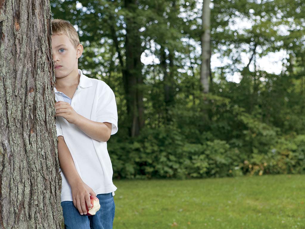 boy hiding behind a tree