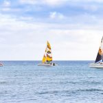 catamarans sailing on Oahu's waters