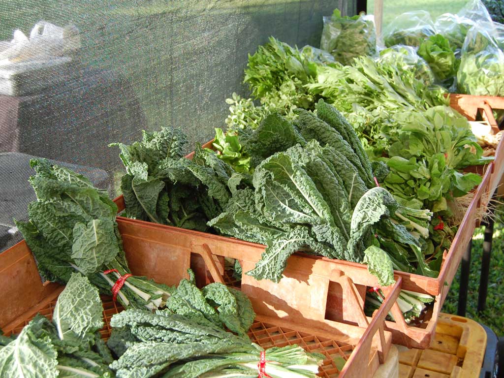 leafy vegetables at the farmers market