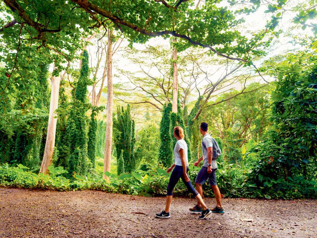 female and male adult hiking in Manoa falls