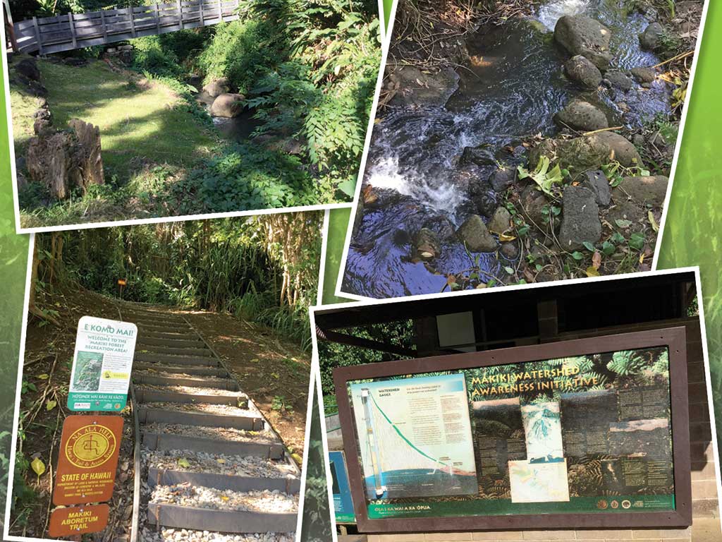 collage of photos from Makiki Valley Loop Trail