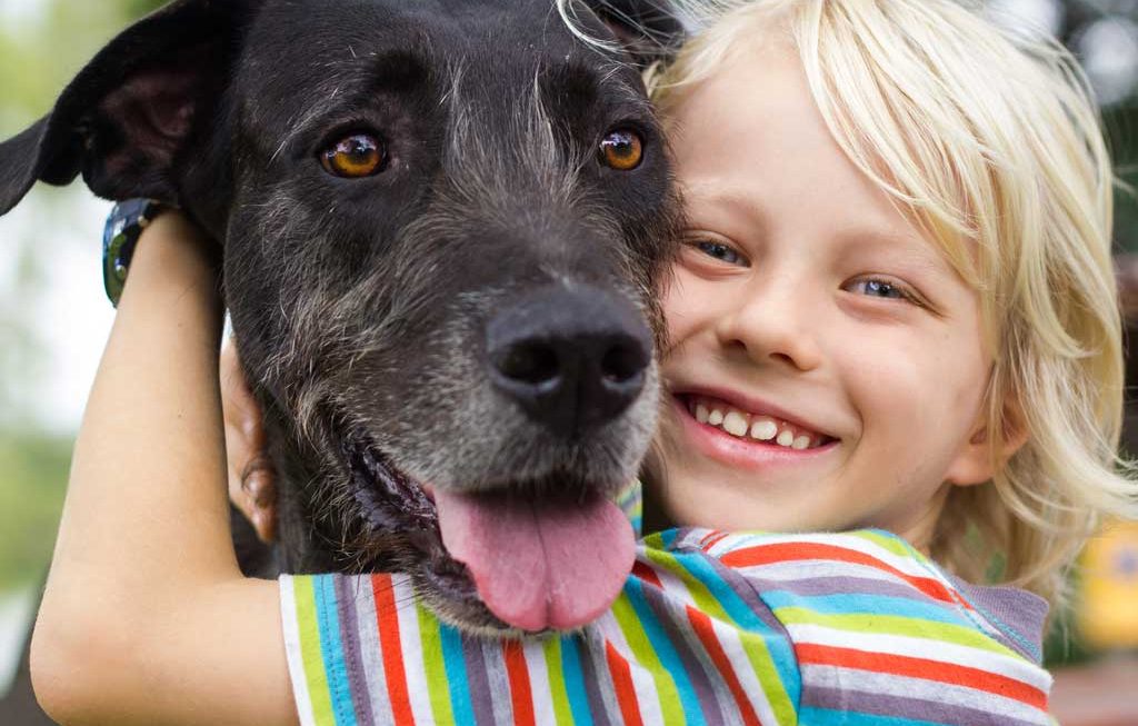 Is a Dog Right for Your Family?