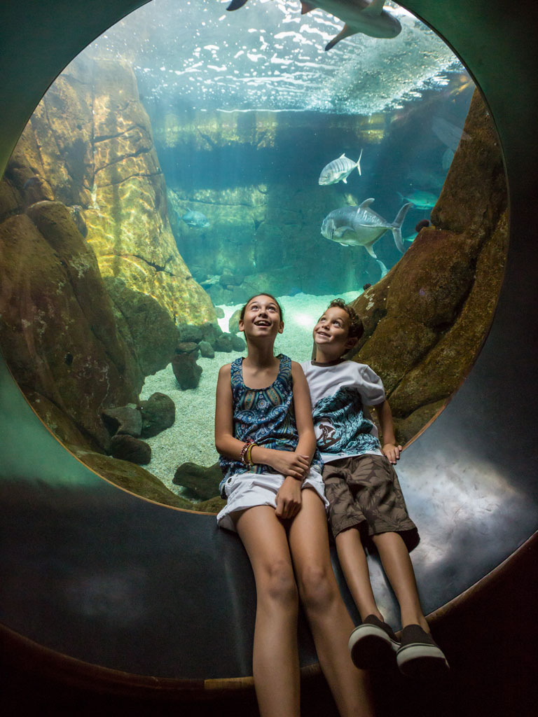 boy and girl in an aquarium