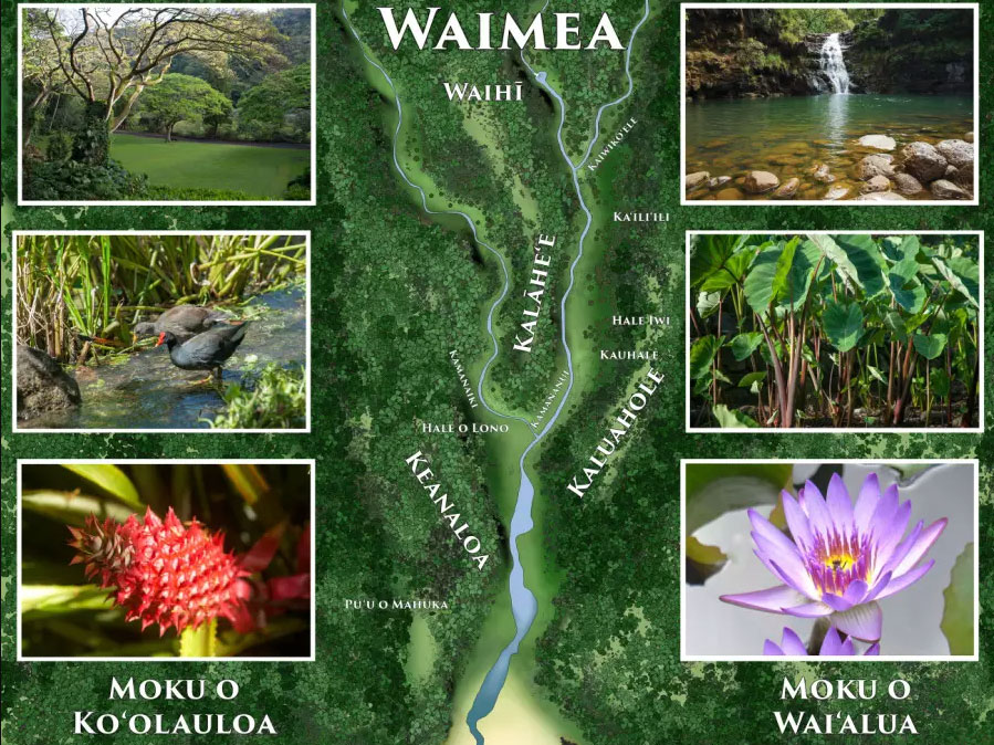 map of Waimea Valley