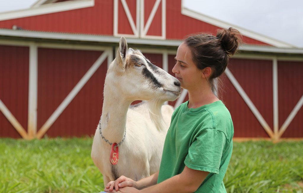Sweet Land Farm: A Girl and Her Goats