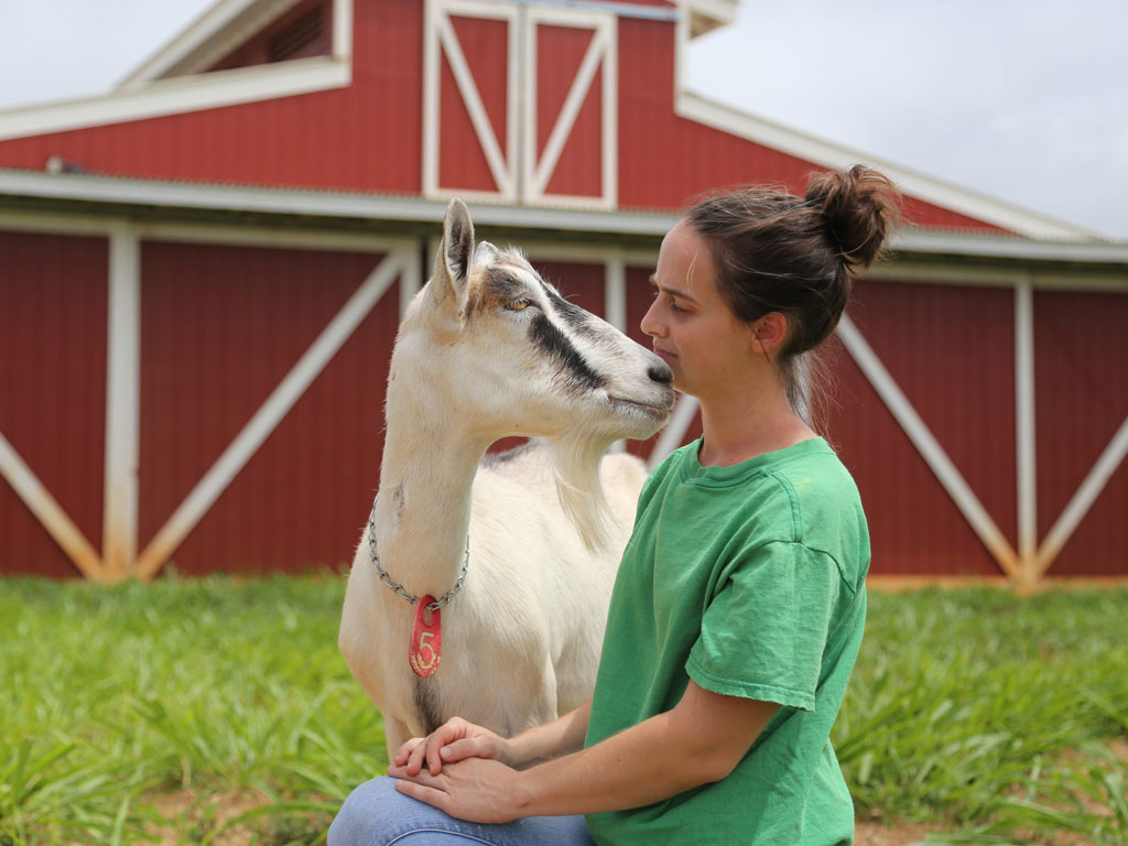 young woman sitting next to goat on a farm