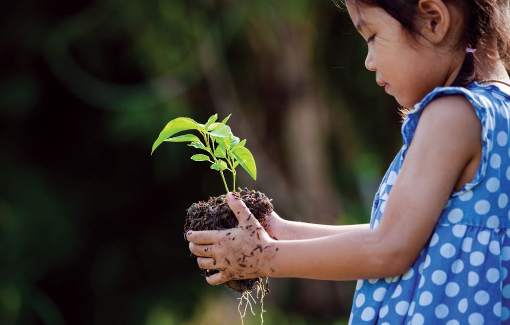 Little Gardeners: Backyard and Indoor Gardening Tips for Hawaii Families