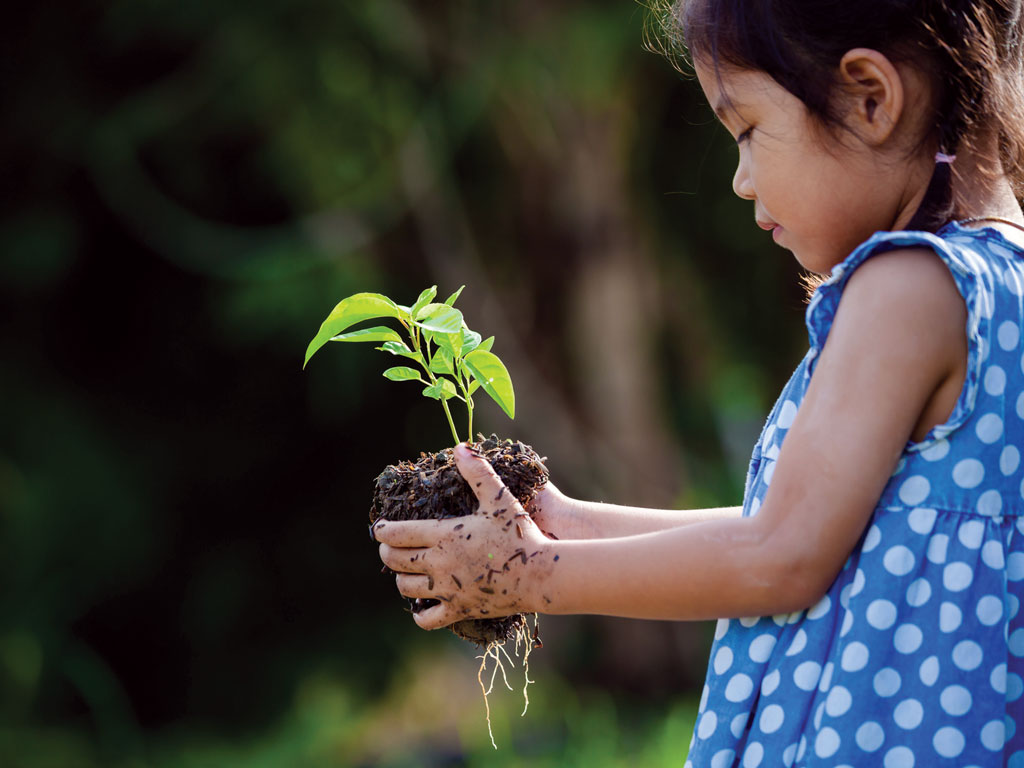Little Gardeners: Backyard and Indoor Gardening Tips for Hawaii Families