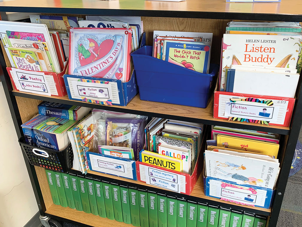 an organized collection of books for elementary students