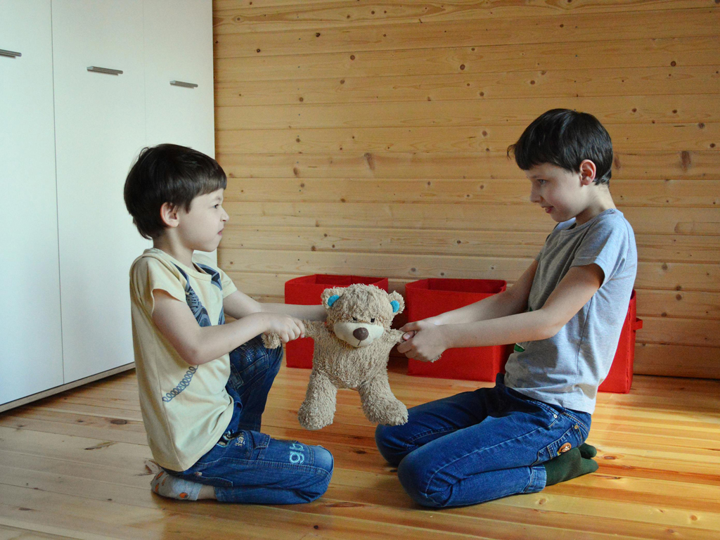 Two boys fighting over a teddy bear