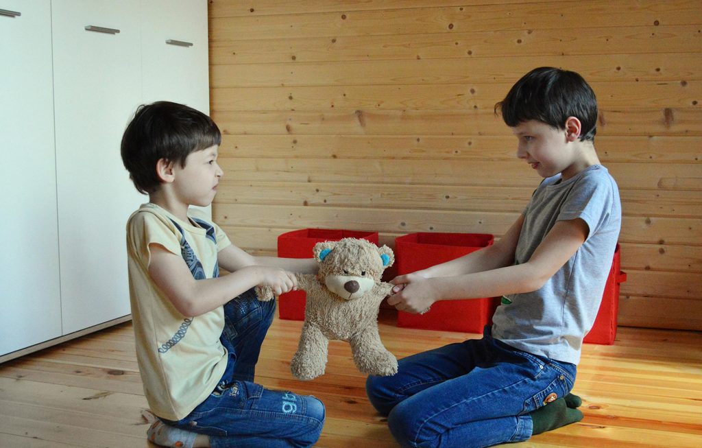 two brothers fighting over a teddy bear