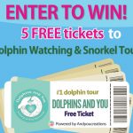 graphic for Dolphin Experience Contest