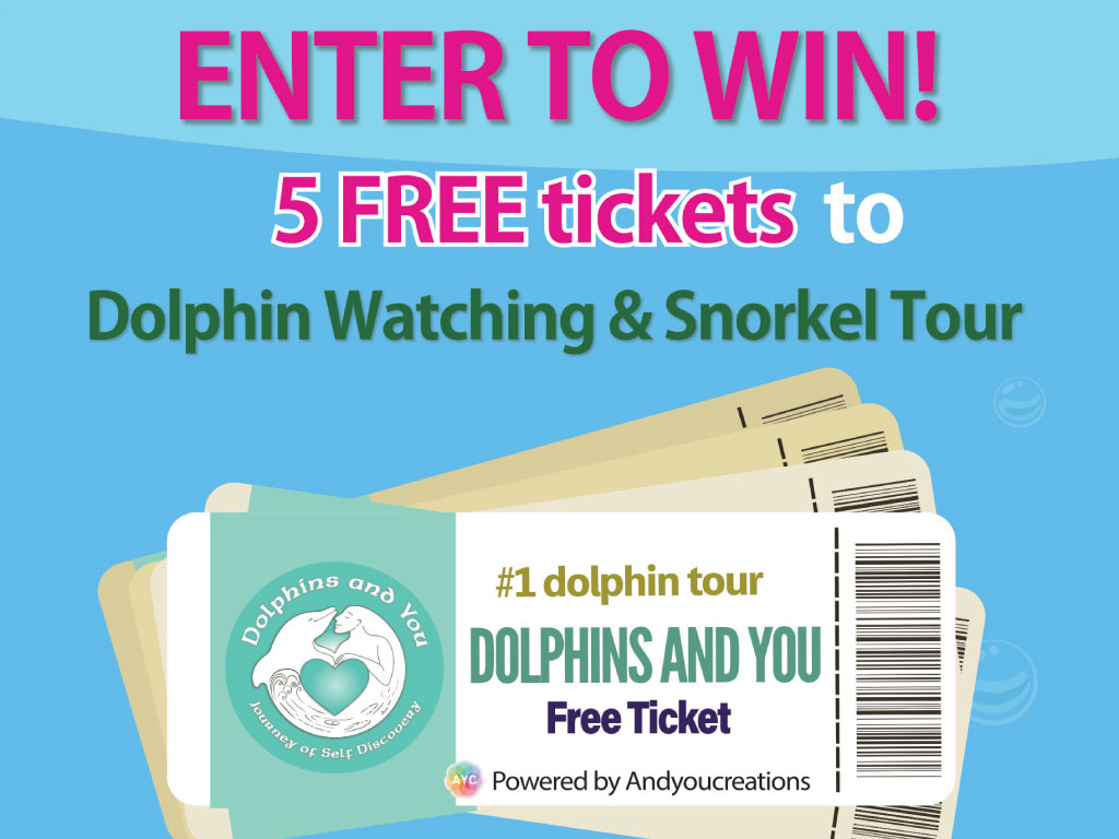 graphic for Dolphin Experience Contest