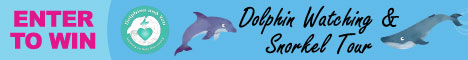 sponsor-dolphin-adventure-contest-banner
