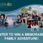 sea-life-park-family-adventure-giveaway