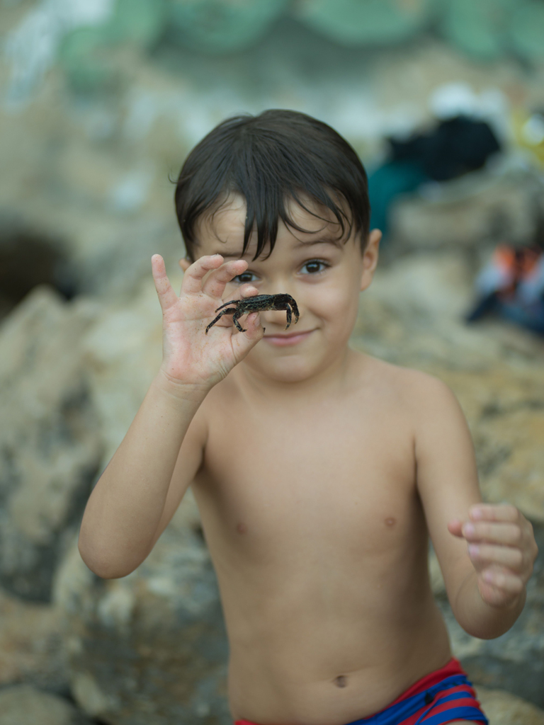 boy at the beach holding tiny crab