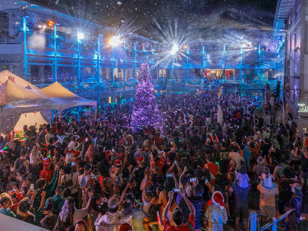 Snow and Light Show at Moolelo