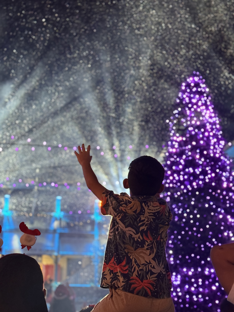 boy enjoying the Snow and Light Show at Moolelo